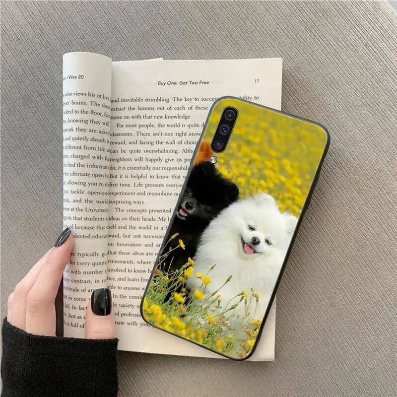 Pomeranian dogs cute animal Phone Case For Samsung galaxy A S note 10 7 8 9 20 30 31 40 50 51 70 71 21 s ultra plus 
Pomeranian dogs cute animal Phone Case For Samsung galaxy A S note 10 7 8 9 20 30 31 40 50 51 70 71 21 s ultra plus