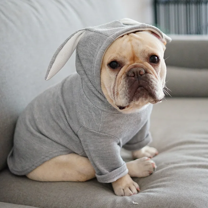 Hond Kleren Cute Rabbit Ear Voor Kleine Honden Hond Autumn Breathable And Easy To Clean Hoodies Puppy Kat Kleding Voor Honden
Hond Kleren Cute Rabbit Ear Voor Kleine Honden Hond Autumn Breathable And Easy To Clean Hoodies Puppy Kat Kleding Voor Honden