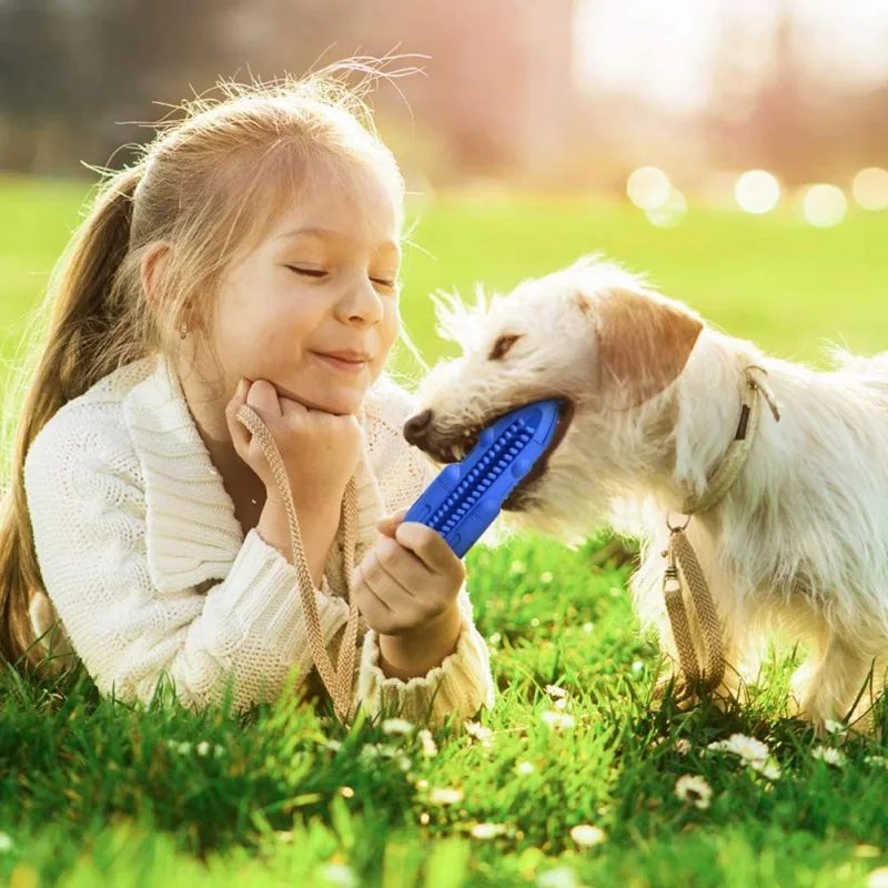Dogs Teeth Cleaning Toy Dog Toothbrush Squeaky Toys For and Care Chew Toy For Interactive To Relieve Stress toys
Dogs Teeth Cleaning Toy Dog Toothbrush Squeaky Toys For and Care Chew Toy For Interactive To Relieve Stress toys