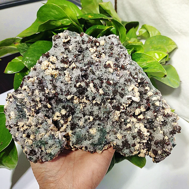 Natural white crystal crystal cluster ore home furnishings feng shui of open crystal clusters home decorated stones crystals
Natural white crystal crystal cluster ore home furnishings feng shui of open crystal clusters home decorated stones crystals