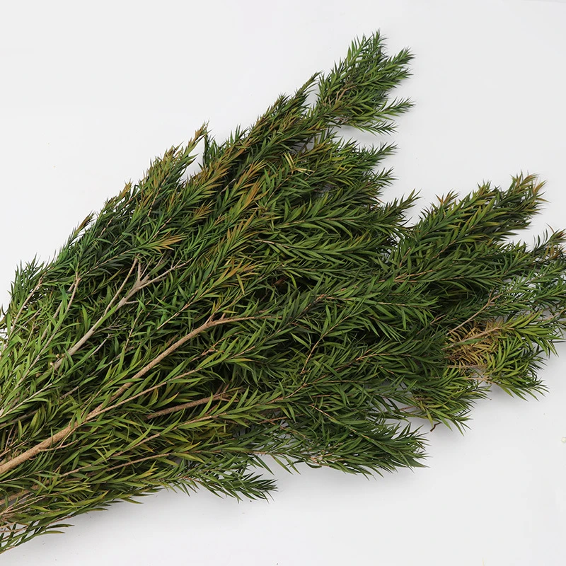 Dried Flower Grass Decoration Photography Props for Store Wedding Flower Bouquet Floral Arrangement for Home Decor HANW8 
Dried Flower Grass Decoration Photography Props for Store Wedding Flower Bouquet Floral Arrangement for Home Decor HANW8