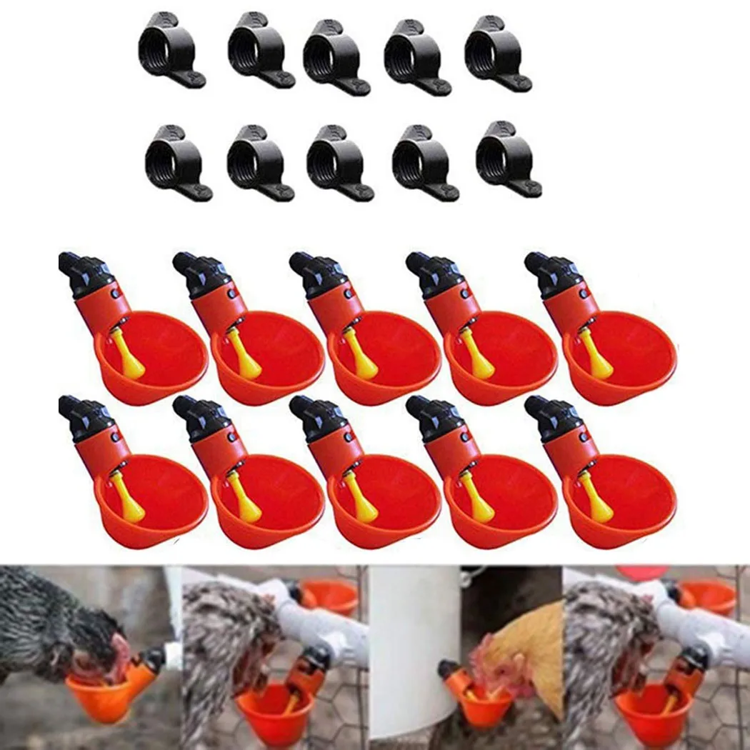 Chicken Drinking Bowl 10PCS Feed Automatic Birdhouse Poultry Chicken Drinker Drinking Bowl + Screw
Chicken Drinking Bowl 10PCS Feed Automatic Birdhouse Poultry Chicken Drinker Drinking Bowl + Screw