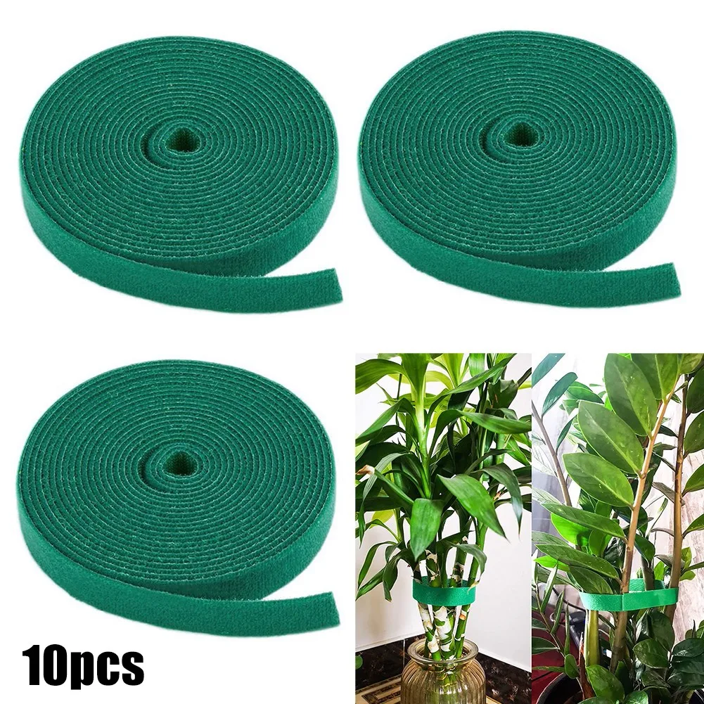 10Rack Green Garden Twine Tie Tape Plant Ties Hook & Loop Garden Supports Bamboo Cane Wrap Support
10Rack Green Garden Twine Tie Tape Plant Ties Hook & Loop Garden Supports Bamboo Cane Wrap Support