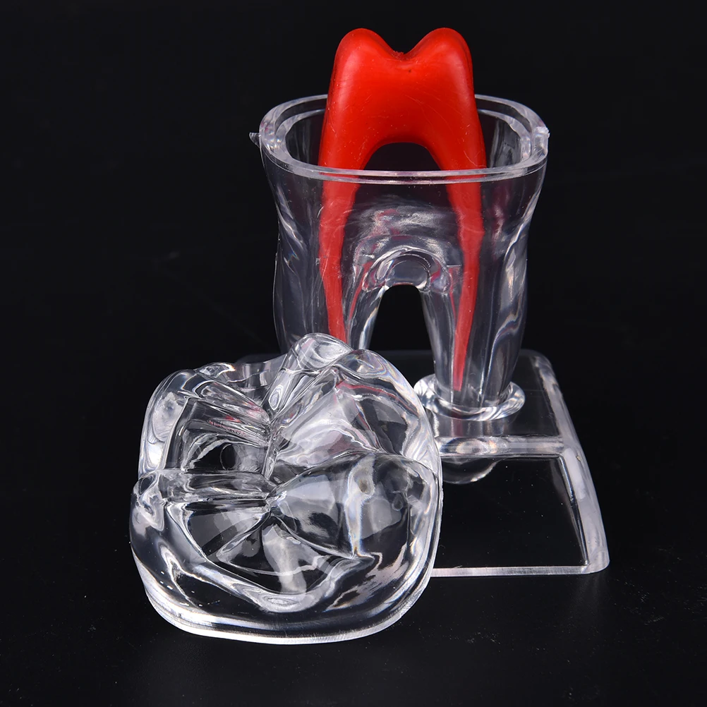 Зубной моляр из твердого пластика, 5,5 см * 5 см * 7 см, для зубов, подходит для улыбки
Зубной моляр из твердого пластика, 5,5 см * 5 см * 7 см, для зубов, подходит для улыбки