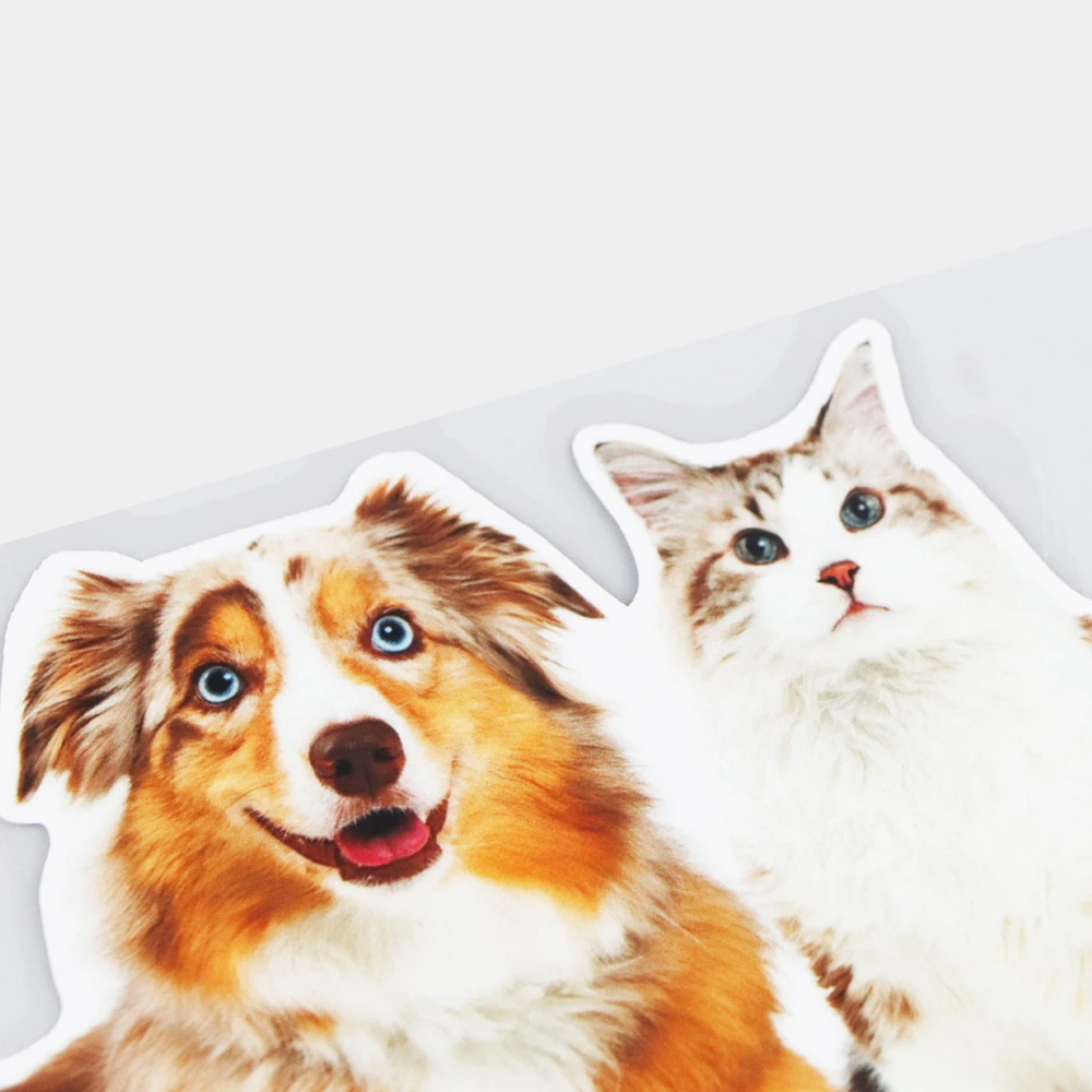 YJZT 18.513.4CM Happy Australian Shepherd Animal Decoration Car Stickers Cartoon Vinyl Decals 21A-0287 
YJZT 18.513.4CM Happy Australian Shepherd Animal Decoration Car Stickers Cartoon Vinyl Decals 21A-0287
