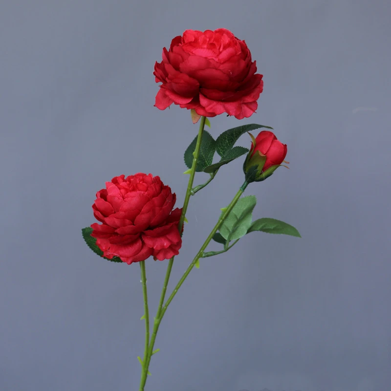Silk Rose 3 Head Artificial Peony Flowers Wedding Decoration Flowers Home Room Decorations Artificial Plants Outdoor Gardens
Silk Rose 3 Head Artificial Peony Flowers Wedding Decoration Flowers Home Room Decorations Artificial Plants Outdoor Gardens