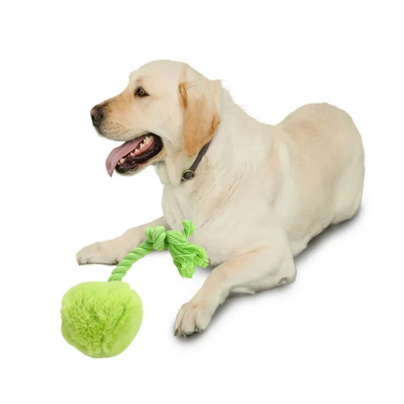 Dog Toy Interactive Teeth Cleaning Chew Bite Sound Plush Ball with Cotton Rope Toy Durable Pet Supplies
Dog Toy Interactive Teeth Cleaning Chew Bite Sound Plush Ball with Cotton Rope Toy Durable Pet Supplies