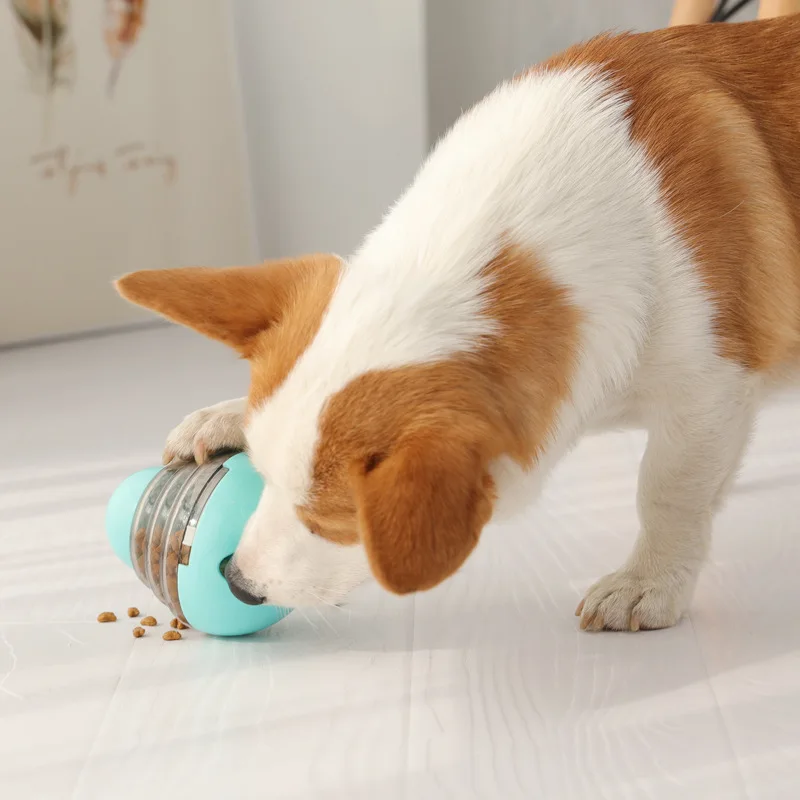 Leaky Tumbler Dog Toys Pet Toys Leaky Balls Dog Toys for Small Dogs Puppy Chew Toy Dog Supplies Pet Toys Food Feeding
Leaky Tumbler Dog Toys Pet Toys Leaky Balls Dog Toys for Small Dogs Puppy Chew Toy Dog Supplies Pet Toys Food Feeding