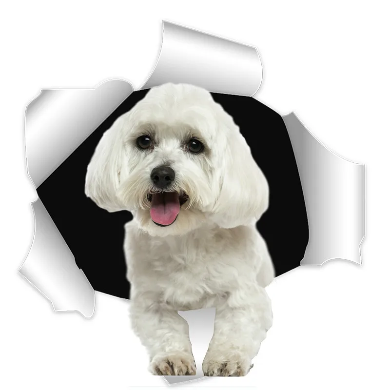 Hot 3D Maltese Dog Malta Puppy Custom Car Sticker Gift Stickers Auto Accessories School Decals Laptop Decal Vinyl Waterproof PVC
Hot 3D Maltese Dog Malta Puppy Custom Car Sticker Gift Stickers Auto Accessories School Decals Laptop Decal Vinyl Waterproof PVC