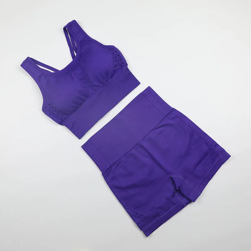 Seamless Yoga Sports Suit Summer Sleeveless Sportwear Gym Set Women Longline Sports Bra+High Waist Yoga Shorts 2 Pcs Fitness Set
Seamless Yoga Sports Suit Summer Sleeveless Sportwear Gym Set Women Longline Sports Bra+High Waist Yoga Shorts 2 Pcs Fitness Set