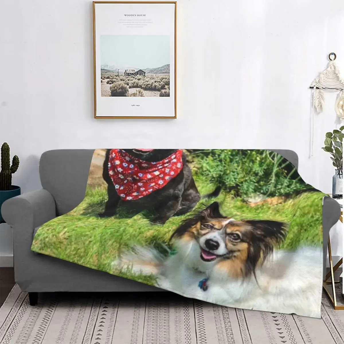 Dory & beauty-Manta a cuadros para cama, manta double, textil de lujo para el доме
Dory & beauty-Manta a cuadros para cama, manta double, textil de lujo para el доме