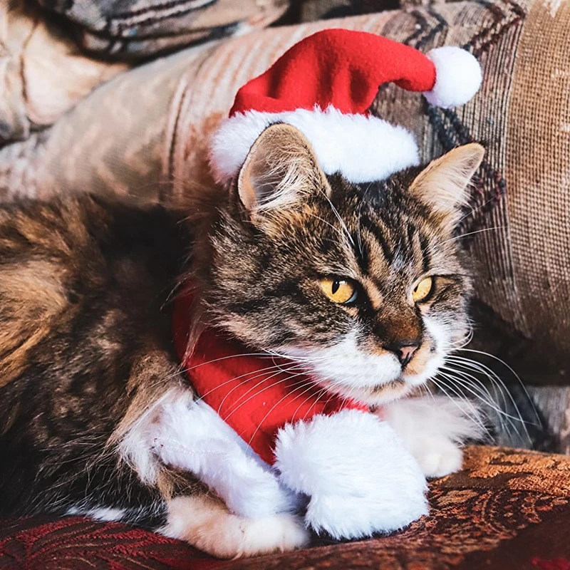 1 Piece Elasticity Cosplay Christmas Hat for Pet Dog Cat Cotton Christmas Cap Hat Pet Santa Hat 
1 Piece Elasticity Cosplay Christmas Hat for Pet Dog Cat Cotton Christmas Cap Hat Pet Santa Hat
