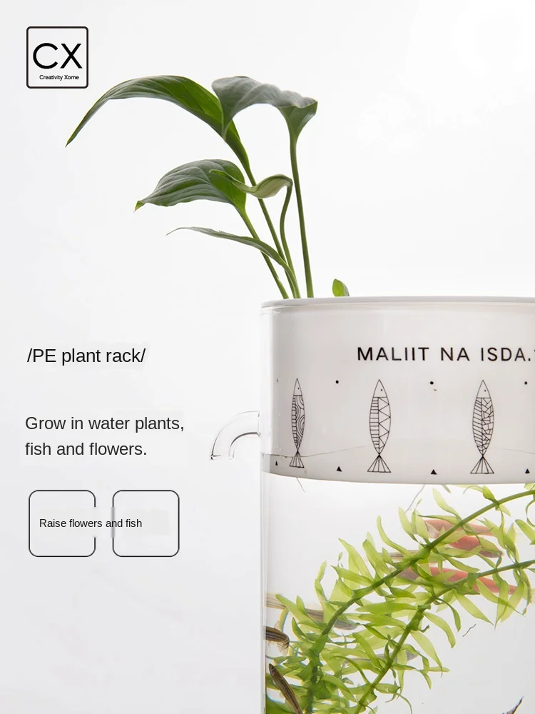 Home Creative Lazy Mini Mini Fish Tank Office Desktop Transparent Glass No Water Change Gravity Clean Ecological Fish Tank 
Home Creative Lazy Mini Mini Fish Tank Office Desktop Transparent Glass No Water Change Gravity Clean Ecological Fish Tank