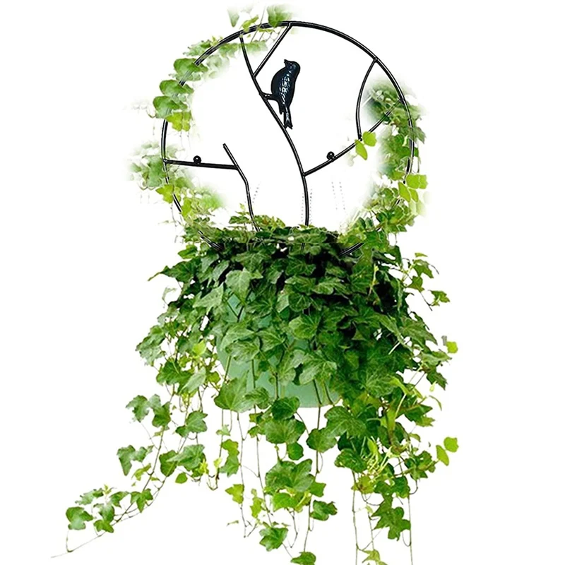 1 PCS Metal Garden Trellis For Climbing Plants, Black Coating Rust-Proof Vine Plant Iron Support, Used For Garden Stem Vine Cree
1 PCS Metal Garden Trellis For Climbing Plants, Black Coating Rust-Proof Vine Plant Iron Support, Used For Garden Stem Vine Cree