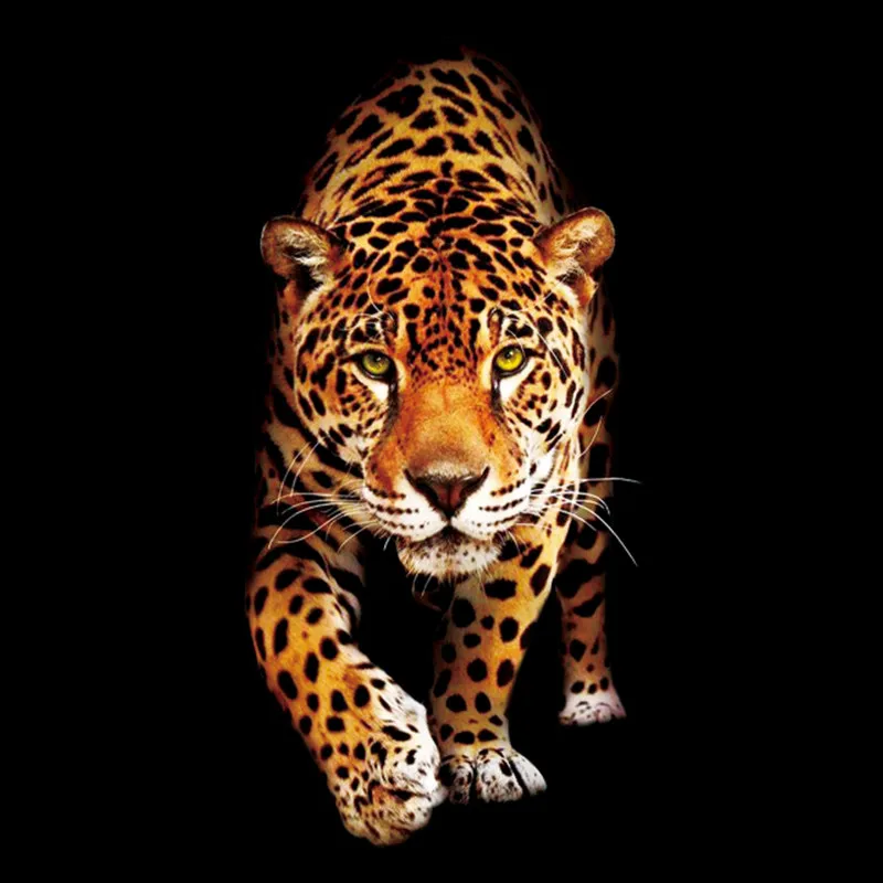 Noctilucence Leopard Patch Animal Logo Colour Printing Iron on Patches for clothing Transfer Printing Luminous Clothes Stickers
Noctilucence Leopard Patch Animal Logo Colour Printing Iron on Patches for clothing Transfer Printing Luminous Clothes Stickers