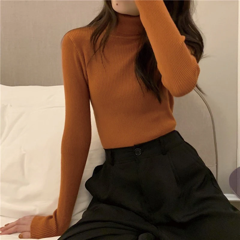 Women Sweater Autumn Winter Casual Turtlenecks Long Sleeve Knitted Pullover Elegant Slim Fit Basic Sweater Women 2021
Women Sweater Autumn Winter Casual Turtlenecks Long Sleeve Knitted Pullover Elegant Slim Fit Basic Sweater Women 2021