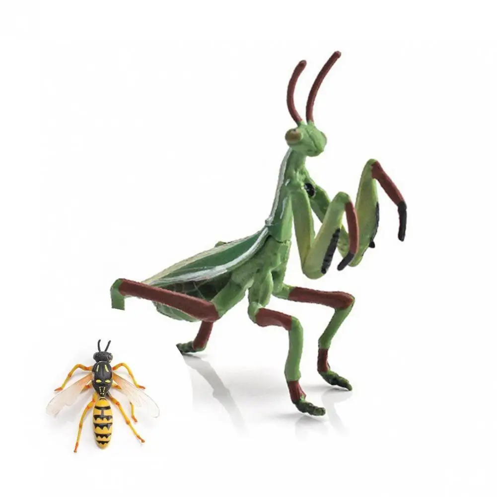 Lovely Animal Model Statue Spider Animal Model Early Educational Eco-friendly
Lovely Animal Model Statue Spider Animal Model Early Educational Eco-friendly