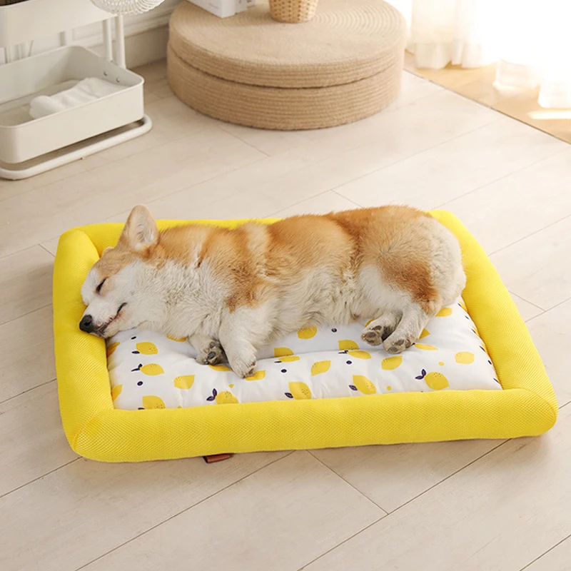 KANGFEILE Dog Cooling Mat Pet Ice Pad Teddy Mattress Pet Cool Mat Bed Cat Summer Keep Cool Ice Silk Cooling Dog Mat for Dogs
KANGFEILE Dog Cooling Mat Pet Ice Pad Teddy Mattress Pet Cool Mat Bed Cat Summer Keep Cool Ice Silk Cooling Dog Mat for Dogs