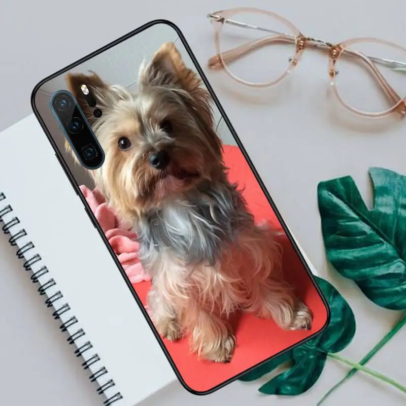 Mini Yorkshire Terrier Dog cute animal Phone Case For Huawei honor Mate P 10 20 30 40 Pro 10i 9 10 20 8 x Lite funda coque 
Mini Yorkshire Terrier Dog cute animal Phone Case For Huawei honor Mate P 10 20 30 40 Pro 10i 9 10 20 8 x Lite funda coque