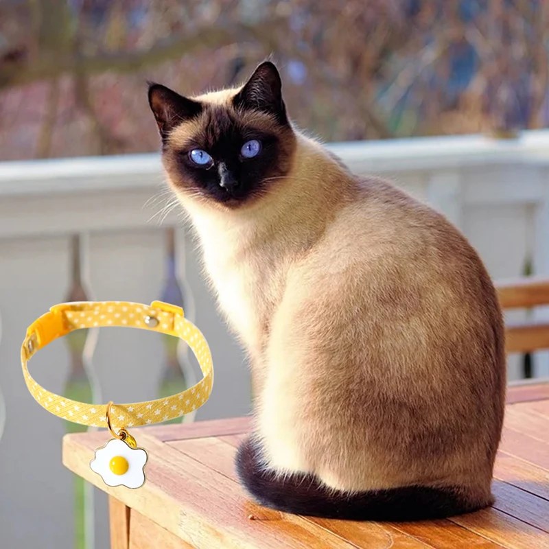 Регулируемый милый ошейник для домашних животных, удобное ожерелье для кошек и щенков, ожерелье с желточным колокольчиком и пряжкой, декора...
Регулируемый милый ошейник для домашних животных, удобное ожерелье для кошек и щенков, ожерелье с желточным колокольчиком и пряжкой, декора...