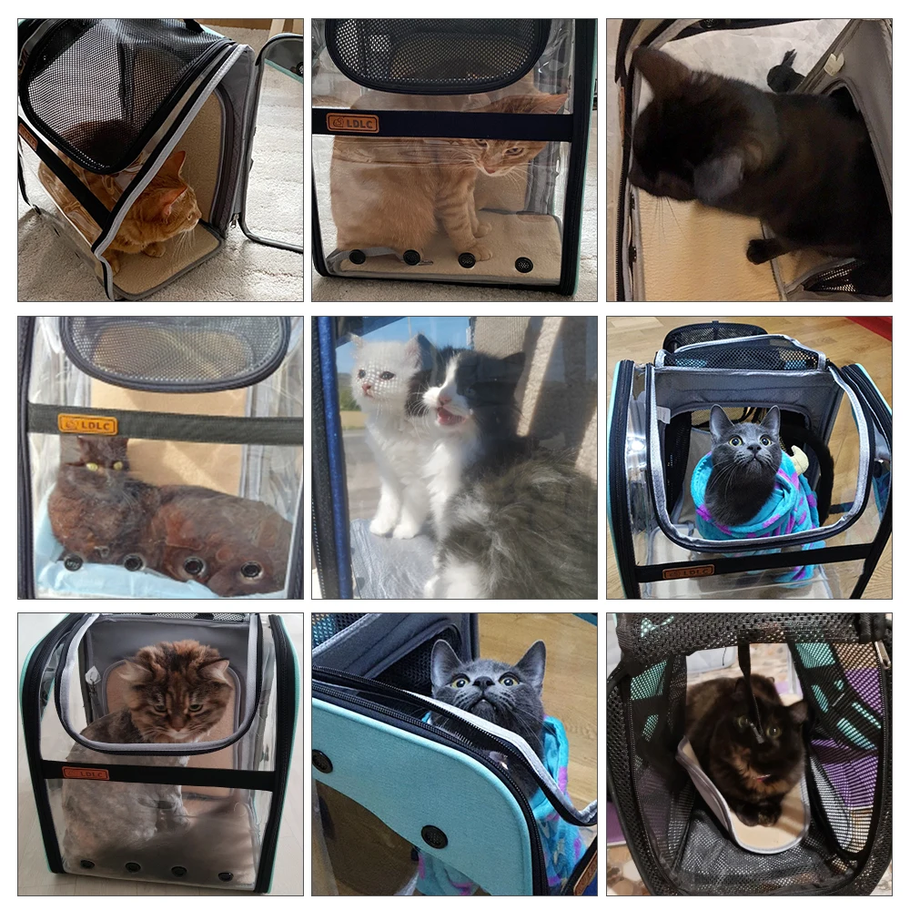 MADDEN Carrier for Dogs Backpack Foldable Extensible Large Space Transport Travel Cat Bag Outdoor Pets Supplies Accessories
MADDEN Carrier for Dogs Backpack Foldable Extensible Large Space Transport Travel Cat Bag Outdoor Pets Supplies Accessories