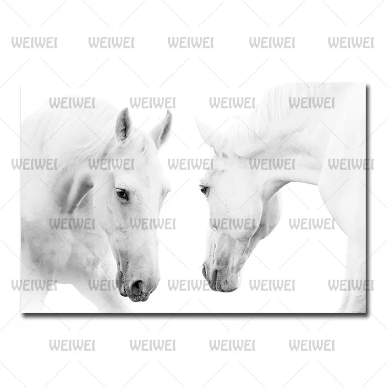 Animal Poster White Horse Home Decoration Canvas Canvas Art Painting for Bedroom Living Room Frameless Style Can Be Customized
Animal Poster White Horse Home Decoration Canvas Canvas Art Painting for Bedroom Living Room Frameless Style Can Be Customized