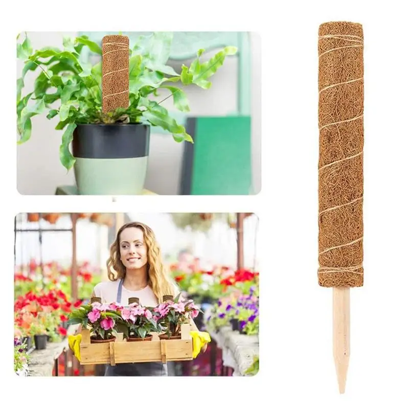 5PCS Natural Coconut Palm Stick Plant Climbing Frame Home Garden Balcony Creeper Support Frame Greenhouse Flower Frame
5PCS Natural Coconut Palm Stick Plant Climbing Frame Home Garden Balcony Creeper Support Frame Greenhouse Flower Frame
