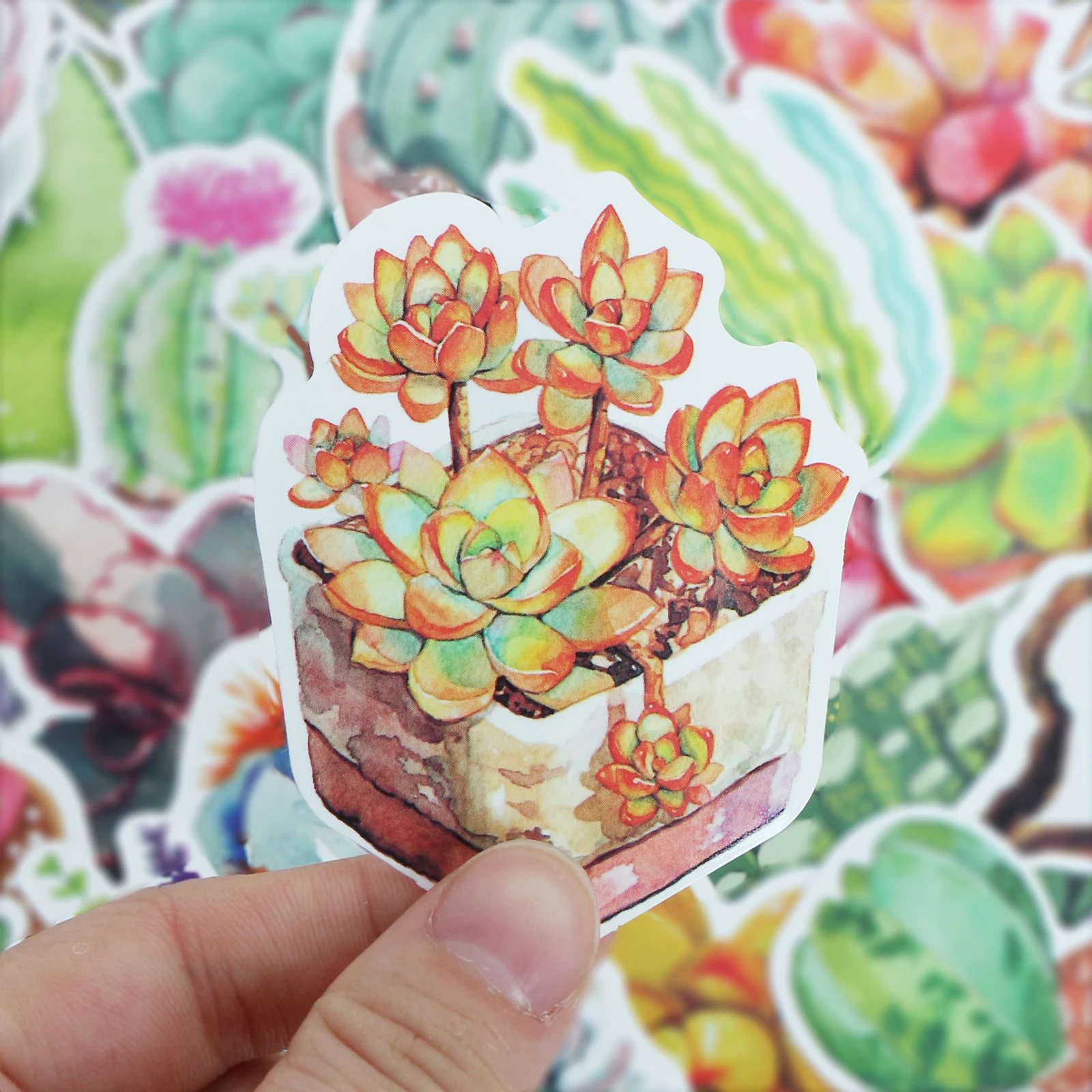 70 PCS Cute Succulent Plants Stickers PVC Cactus Laptop Sticker for Diary Paper Crafts Scrapbooking Decorative DIY Stationery
70 PCS Cute Succulent Plants Stickers PVC Cactus Laptop Sticker for Diary Paper Crafts Scrapbooking Decorative DIY Stationery