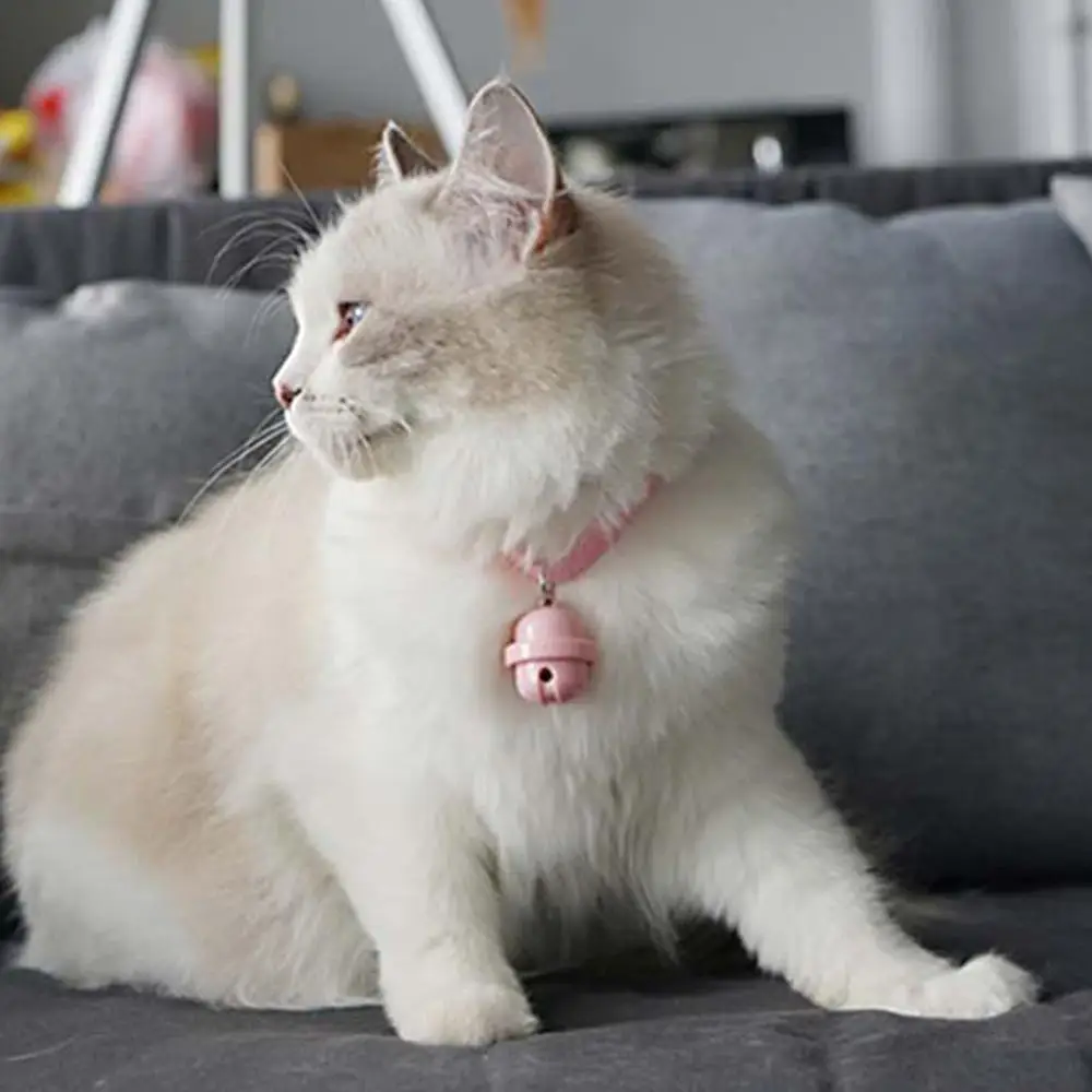 Ошейник для кота кошка игрушка для кошки колокол инфракрасный лазерный светильник забавный кот колокол Безопасность с колокол ошейник для ...
Ошейник для кота кошка игрушка для кошки колокол инфракрасный лазерный светильник забавный кот колокол Безопасность с колокол ошейник для ...