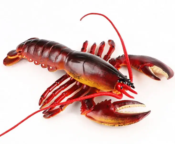 cute real life Lobster model plastic simulation Boston Lobster doll gift about 23.5x17.5x5.5cm xf2781
cute real life Lobster model plastic simulation Boston Lobster doll gift about 23.5x17.5x5.5cm xf2781