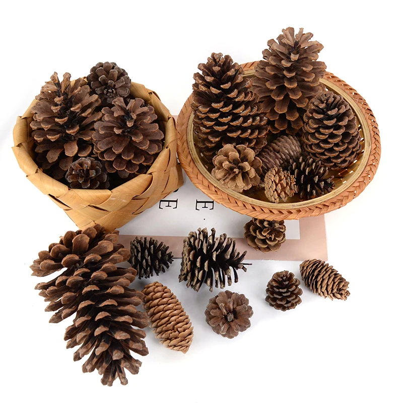 Natural Pine Cones Series Xmas Tree Ornaments Rustic Fall Garland Thanksgiving Decortion for Home Artificial Plants Dropshipping
Natural Pine Cones Series Xmas Tree Ornaments Rustic Fall Garland Thanksgiving Decortion for Home Artificial Plants Dropshipping