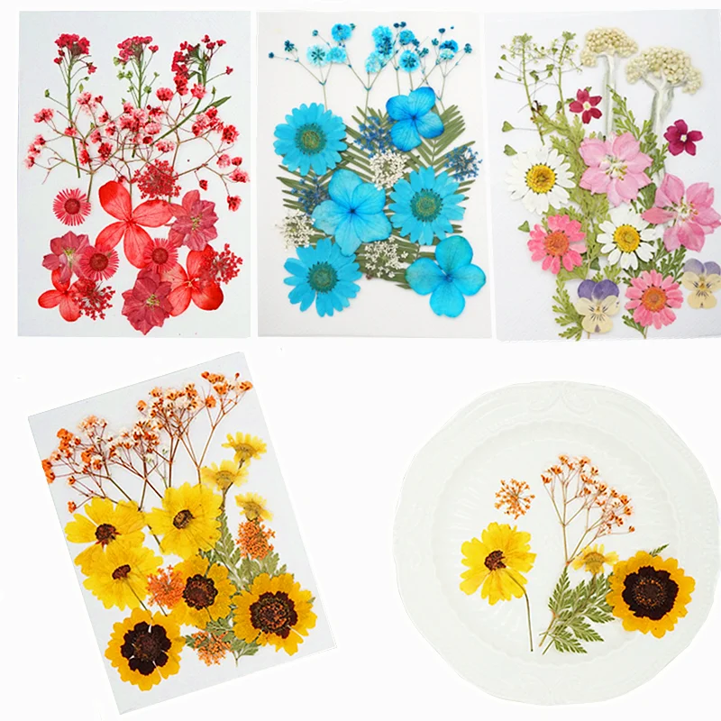 Real Dried Flower Dry Plants UV Epoxy Resin Mold Filler DIY Pendant Necklace Crafts Accessories For Jewelry Making Nail Art Decr
Real Dried Flower Dry Plants UV Epoxy Resin Mold Filler DIY Pendant Necklace Crafts Accessories For Jewelry Making Nail Art Decr