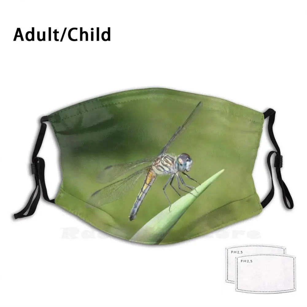 

The Solitude Of A Dragonfly Adult Kids Anti Dust Filter Diy Mask Dragonfly Bug Insect Closeup Tiger Dragonfly Nature Nature