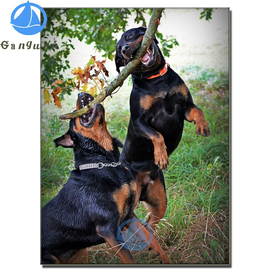 3d Алмазная живопись 5d Бриллиантовая мозаика с животным Rottweiler с собакой, вышивка крестиком, забавная Милая Алмазная вышивка с животными, новое украшение для дома
3d Алмазная живопись 5d Бриллиантовая мозаика с животным Rottweiler с собакой, вышивка крестиком, забавная Милая Алмазная вышивка с животными, новое украшение для дома