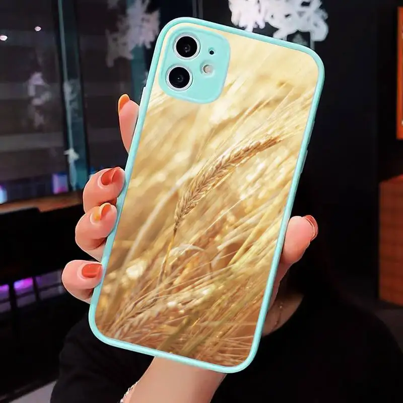 Raw material for bread wheat fashion Phone Case For iPhone 12 11 Mini Pro XR XS Max 7 8 Plus X Matte transparent blue Back Cover
Raw material for bread wheat fashion Phone Case For iPhone 12 11 Mini Pro XR XS Max 7 8 Plus X Matte transparent blue Back Cover