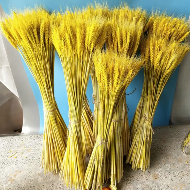 100pcs/lot Wheat Autumn Decoration Pampas Grass Craft Flowers Dried Flowers for Wedding Decoration Wheat Artificial Plants
100pcs/lot Wheat Autumn Decoration Pampas Grass Craft Flowers Dried Flowers for Wedding Decoration Wheat Artificial Plants