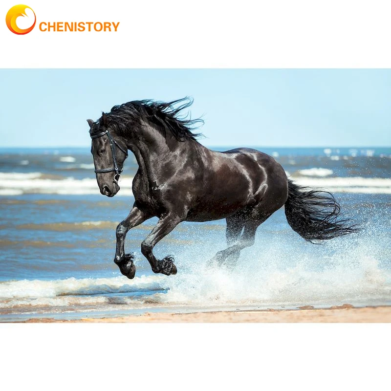 CHENISTORY Diamond Painting Full Square/Round 5D Diamond Art Painting Horse Mosaic Picture Cross Stitch Animal Adults DIY Decor
CHENISTORY Diamond Painting Full Square/Round 5D Diamond Art Painting Horse Mosaic Picture Cross Stitch Animal Adults DIY Decor