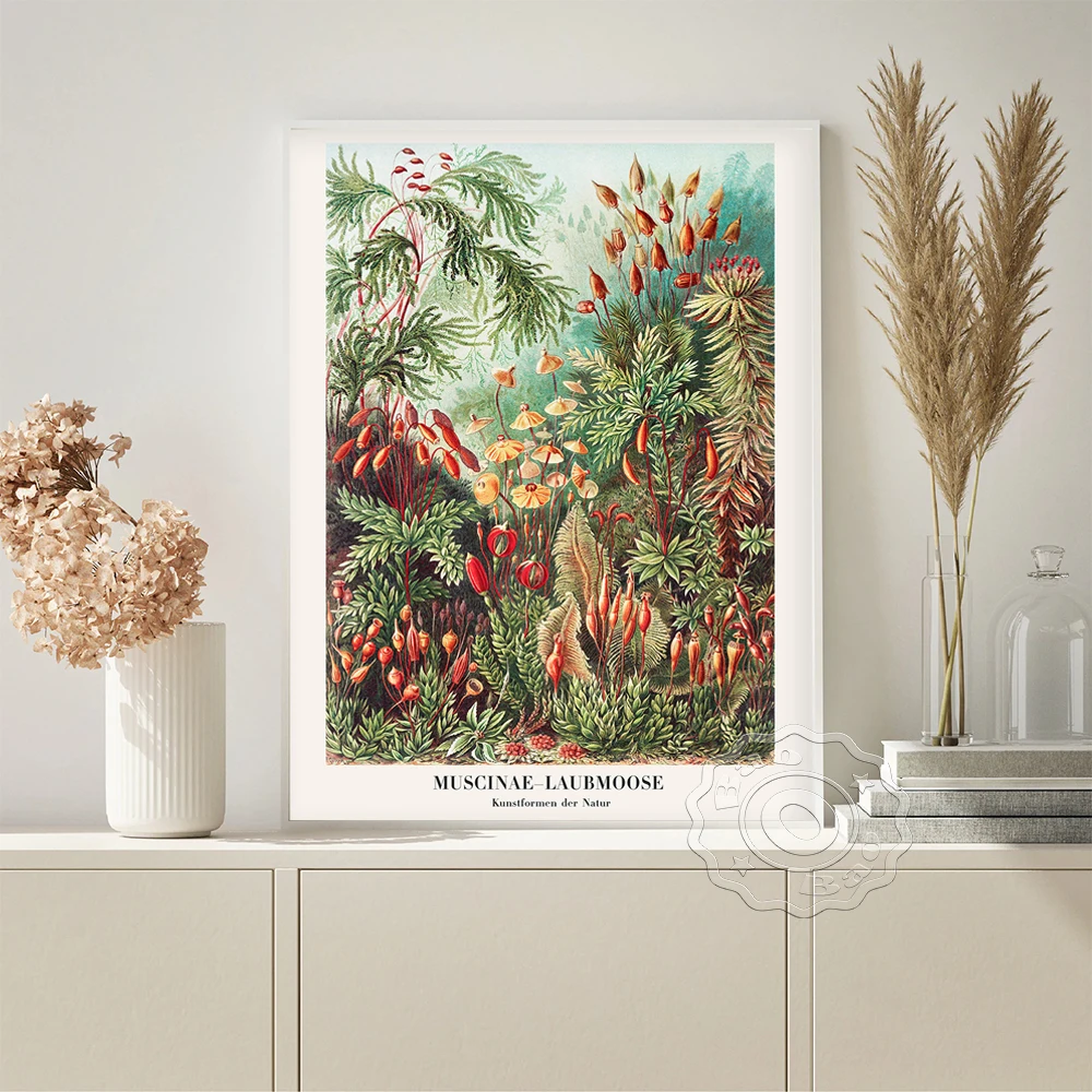 Ernst Haeckel Antique Nature Plant Exhibition Poster Muscinae Laubmoose Retro Prints Canvas Painting Lounge Office Studio Decor
Ernst Haeckel Antique Nature Plant Exhibition Poster Muscinae Laubmoose Retro Prints Canvas Painting Lounge Office Studio Decor