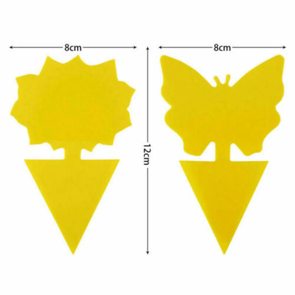 12*8*0.2cm Sticky Trap 41 Pcs Butterfly Catch Catcher Fruit Fly Glue Insect Paper
12*8*0.2cm Sticky Trap 41 Pcs Butterfly Catch Catcher Fruit Fly Glue Insect Paper