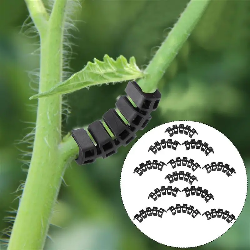 100 Pcs Plant Benders Tomato Holder Practical Tomato Reinforcing Clips Tomato reinforcement and spike grip against bending
100 Pcs Plant Benders Tomato Holder Practical Tomato Reinforcing Clips Tomato reinforcement and spike grip against bending