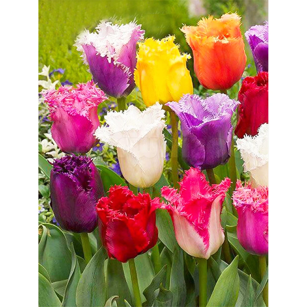 Набор для алмазной вышивки «тюльпаны»
Набор для алмазной вышивки «тюльпаны»