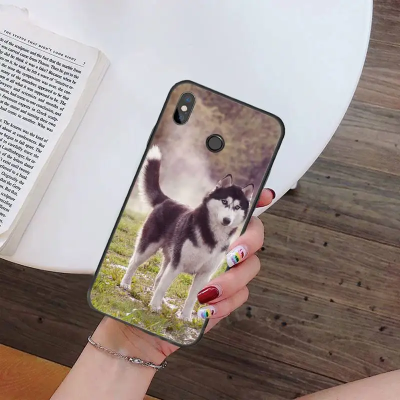 Alaskan Malamute Siberian husky dog Phone Case For Xiaomi Redmi note 7 8 9 t k30 max3 9 s 10 pro lite
Alaskan Malamute Siberian husky dog Phone Case For Xiaomi Redmi note 7 8 9 t k30 max3 9 s 10 pro lite
