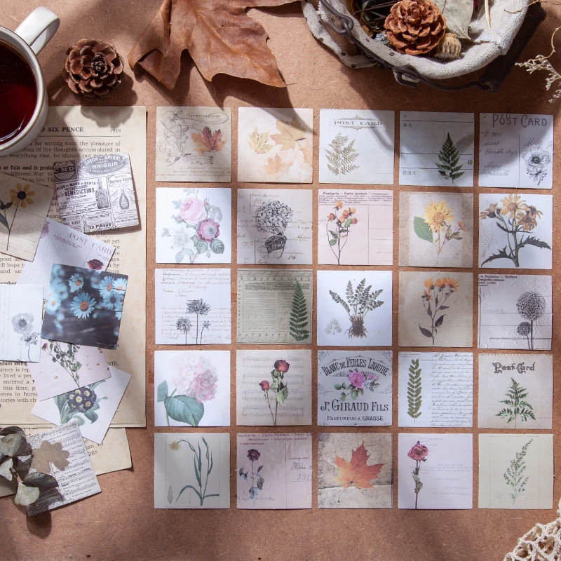 20pcs Vintage Plant Flowers Stickers Creativity Decorative Retro Labels Scrapbooking material Diary Album Craft Supplies
20pcs Vintage Plant Flowers Stickers Creativity Decorative Retro Labels Scrapbooking material Diary Album Craft Supplies