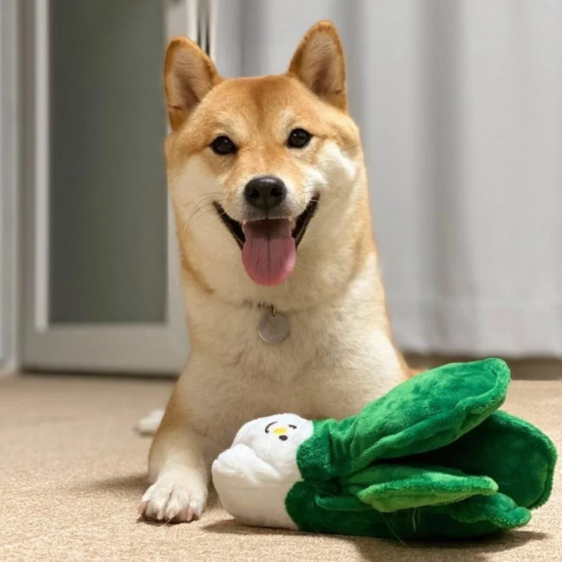 Korean Plush Dog Toys Squeaky Cabbage Corn Chestnut Puppy Chew Toy Interactive Cat Toys Pet Dog Sound Toys For Small Dog
Korean Plush Dog Toys Squeaky Cabbage Corn Chestnut Puppy Chew Toy Interactive Cat Toys Pet Dog Sound Toys For Small Dog
