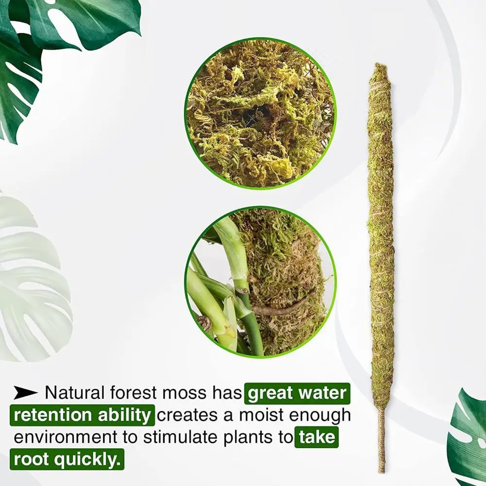 Creative Bendable Plant Grow Stake DIY Handmade Rattan Plant Climbing Stick for Garden
Creative Bendable Plant Grow Stake DIY Handmade Rattan Plant Climbing Stick for Garden