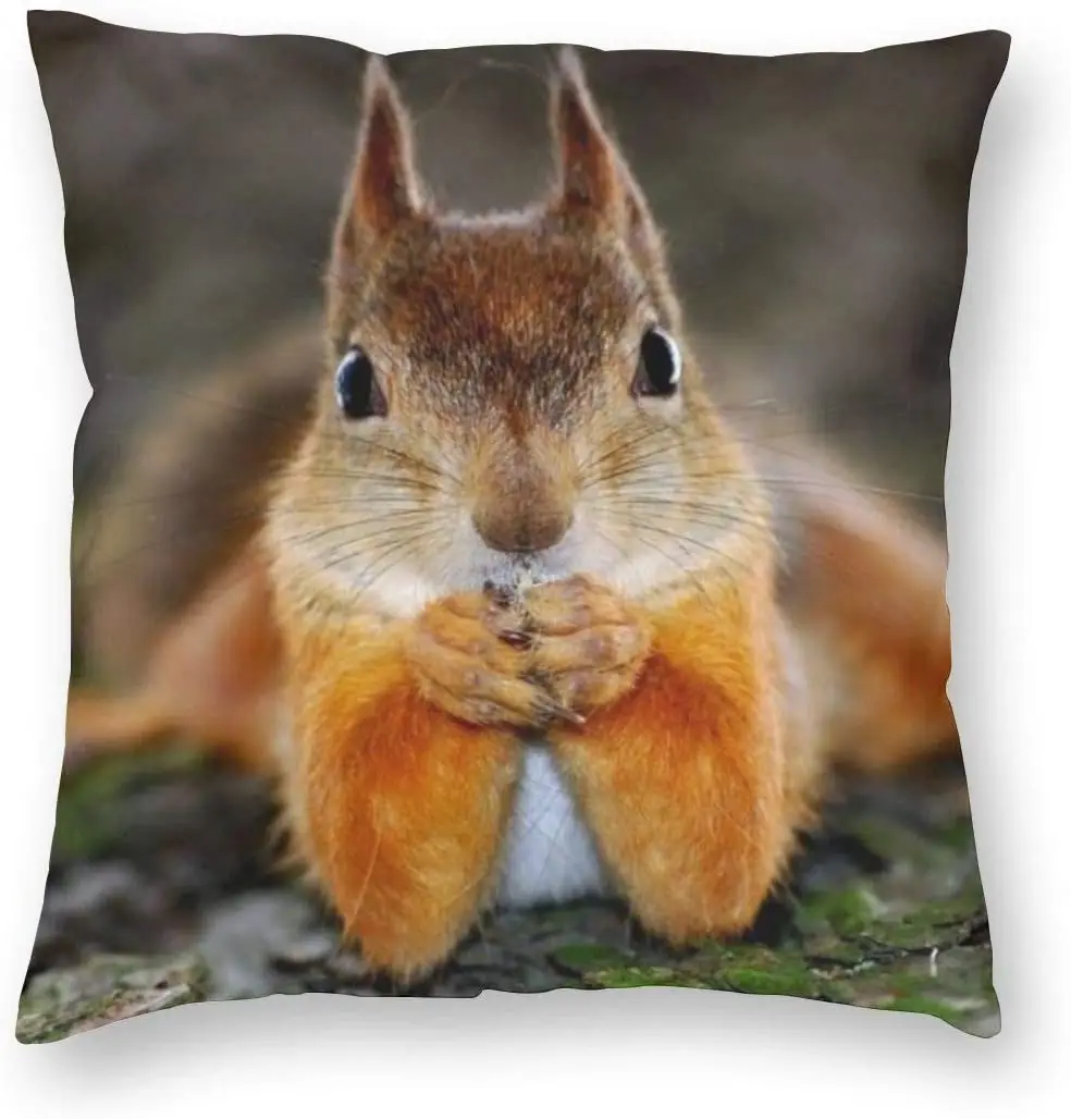 Squirrel Pillow Cover Animal Pillowcase Square Throw Pillow Case Home Decorative Sofa Armchair Bedroom Livingroom
Squirrel Pillow Cover Animal Pillowcase Square Throw Pillow Case Home Decorative Sofa Armchair Bedroom Livingroom