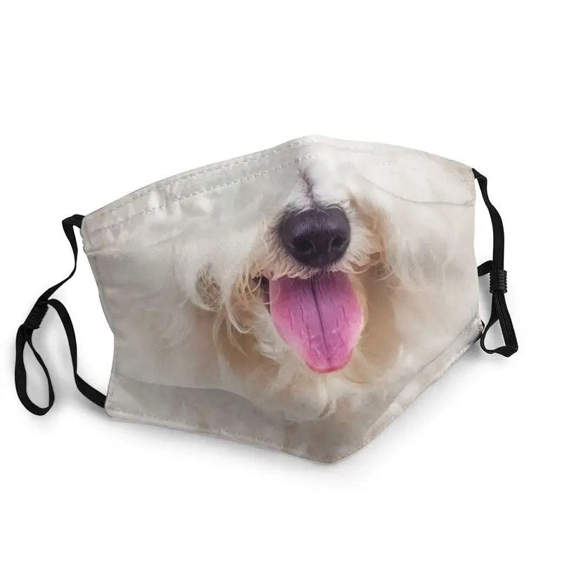 Многоразовая маска для лица Bichon Frise, маска для щенков, маска для защиты от смога, респиратор, маска для рта
Многоразовая маска для лица Bichon Frise, маска для щенков, маска для защиты от смога, респиратор, маска для рта