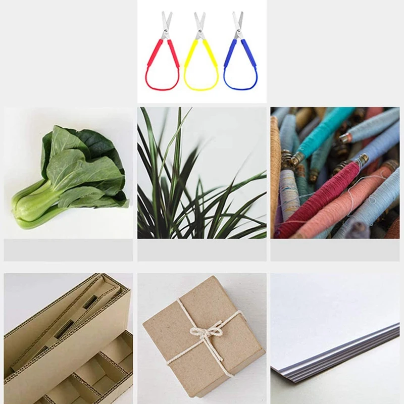 12 Pack 8 Inch Colorful Loop Scissors, Easy-Open Squeeze Handles Right and Lefty Support Grip Scissors for Kids, Adults
12 Pack 8 Inch Colorful Loop Scissors, Easy-Open Squeeze Handles Right and Lefty Support Grip Scissors for Kids, Adults