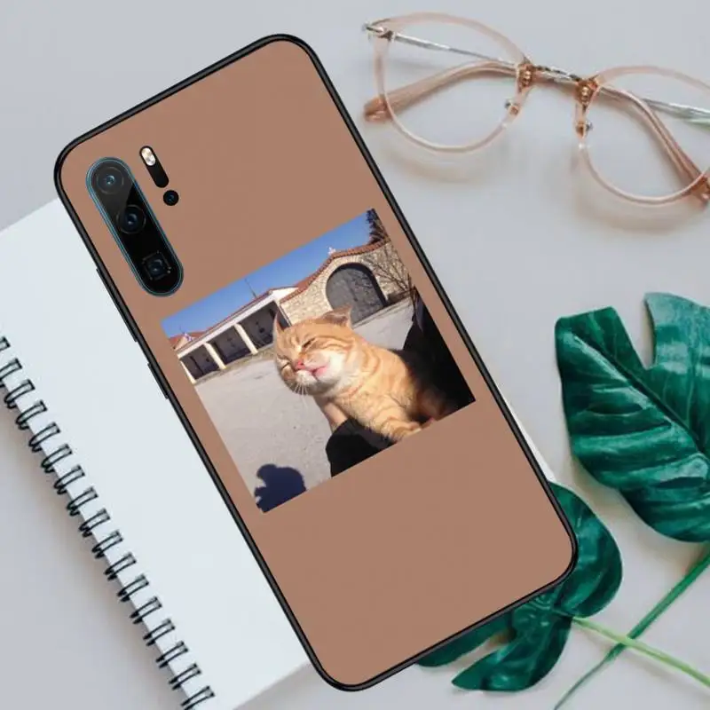 Cute animal cat aesthetics pattern Phone Case For Huawei honor Mate P 10 20 30 40 i 9 8 pro x Lite smart 2019 nova 5t coque
Cute animal cat aesthetics pattern Phone Case For Huawei honor Mate P 10 20 30 40 i 9 8 pro x Lite smart 2019 nova 5t coque