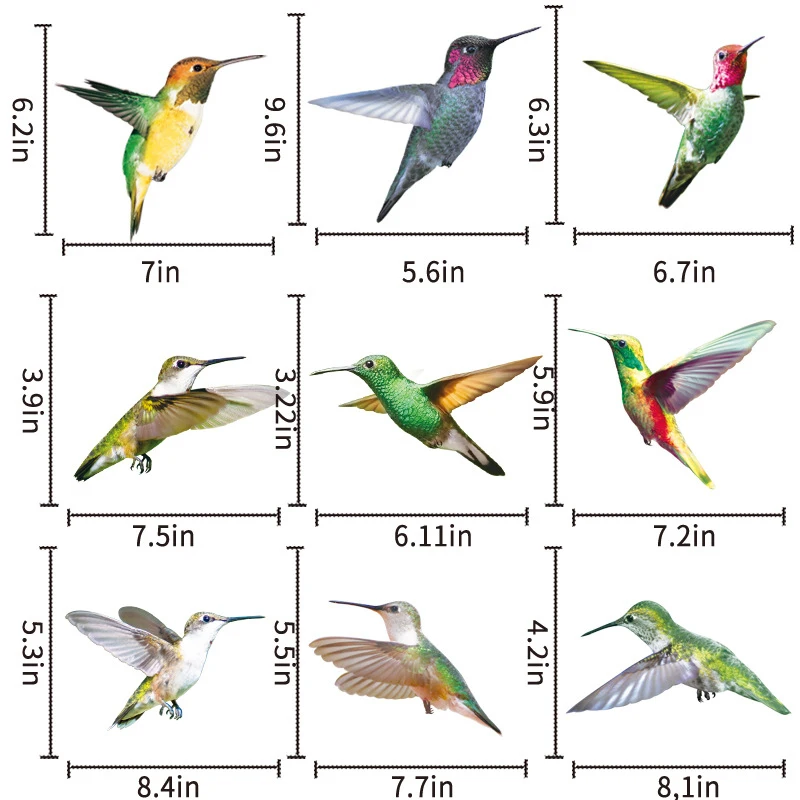 Creative Animal Wall Stickers Anti-collision Window Clings Bird Alert Collision Decals Set Of 9 Hummingbirds Wall Stickers
Creative Animal Wall Stickers Anti-collision Window Clings Bird Alert Collision Decals Set Of 9 Hummingbirds Wall Stickers
